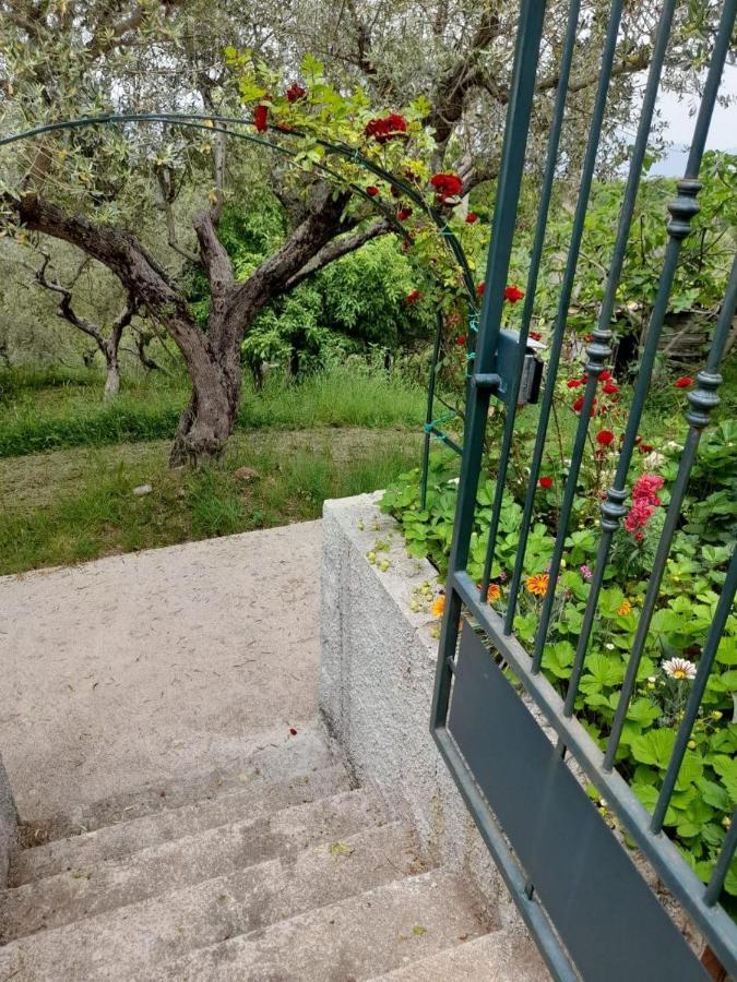 Frühstückspension Cuore Del Cilento