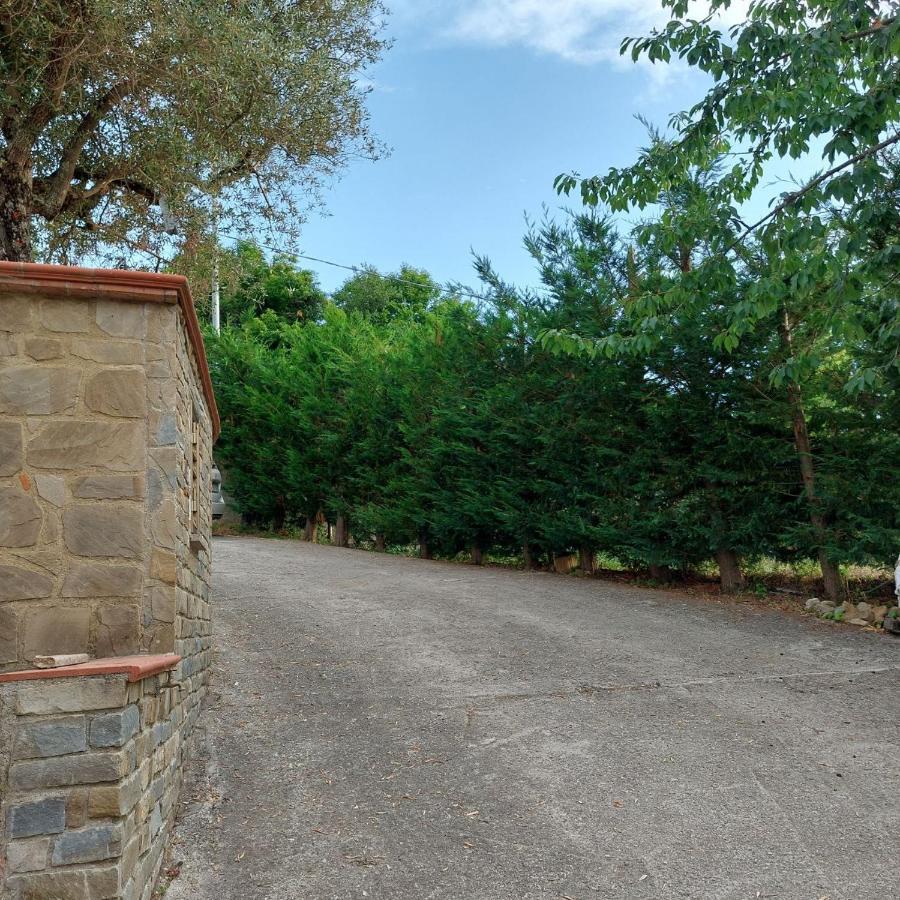 Cuore Del Cilento