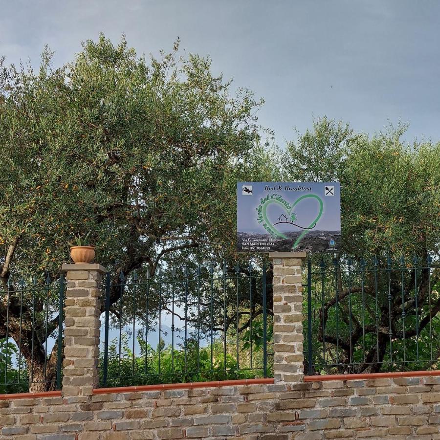 Cuore Del Cilento
