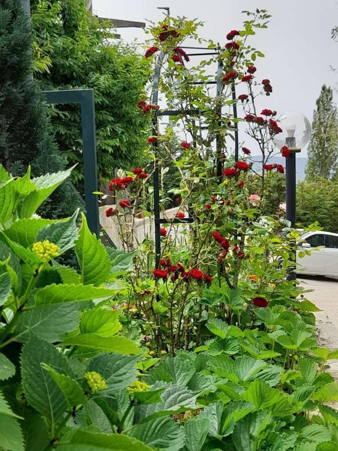 Frühstückspension Cuore Del Cilento