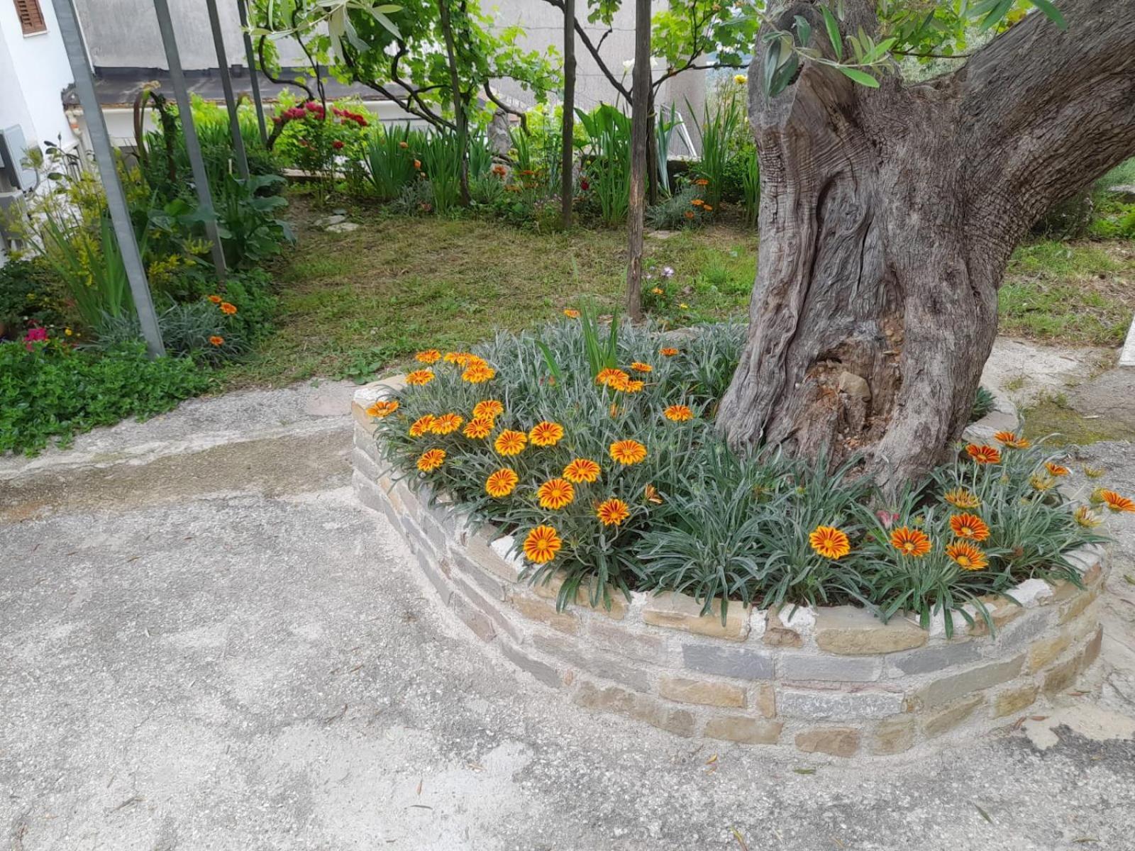 Cuore Del Cilento * Laureana Cilento